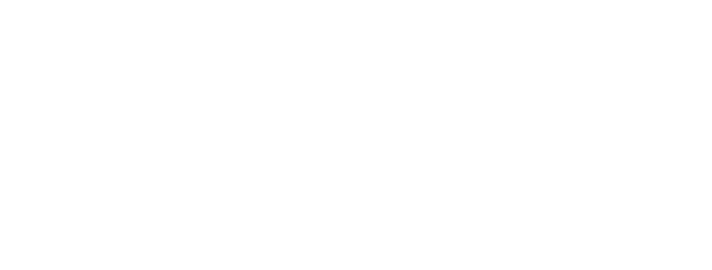 Brisk Asesores